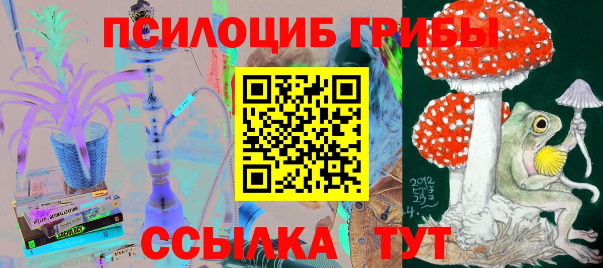 Донецк  Псилоцибиновые грибы мухоморы  Вход с VPN 